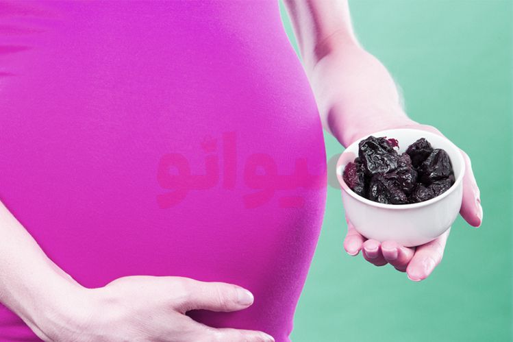فواید و خواص میوه خشک در دوران بارداری